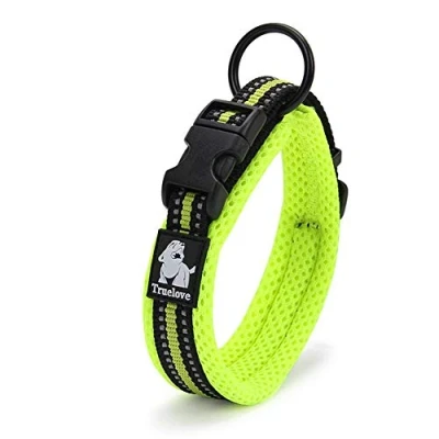 Image of Truelove Dog Training Collar TLC5011 Reflective Premium Buckle Nylon Webbing Pet Collars,High Grade No Choke Basic Collars Now Available (XL, Neon Yellow)