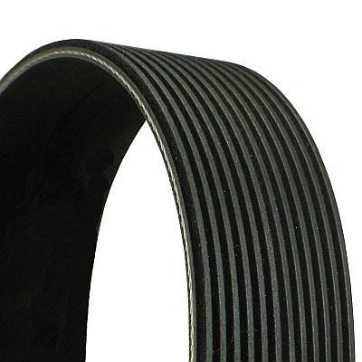 Image of 500341808, 504027703, 504049425 V ribbed belt CONTITECH 12PK1815 1815mm 12