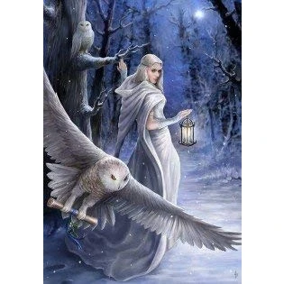 Image of Midnight Messenger Yule Card by Anne Stokes