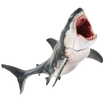 Image of PNSO Everything Dinosaur Patton the Megalodon Shark Model