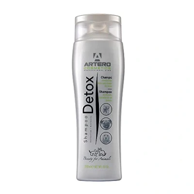 Image of Artero Shampoo Detox 250Ml