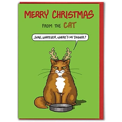 Image of Brainbox Candy Hilariously Funny Christmas Cards Cat &#039;From The Cat&#039; Pet Lovers Cheeky Xmas Card For Him Her Partner Friend