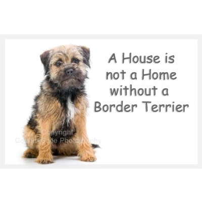 Image of Border Terrier Dog Fridge Magnet Gift A House is not Home