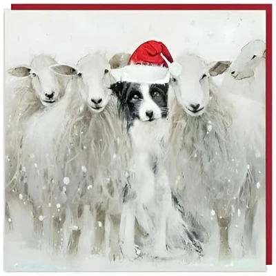 Image of Charity Christmas Cards Border Collie in Santa Hat with Flock of Sheep Flitter Finish Eco Friendly Pack 6 By Art Beat