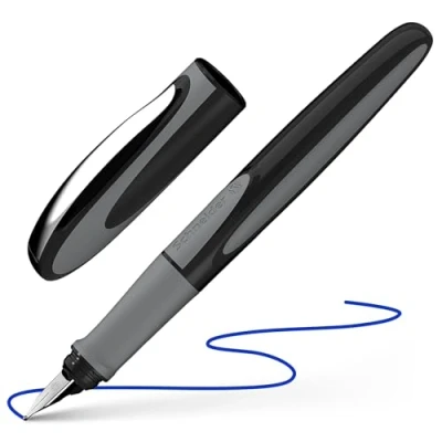 Image of Schneider Ray fountain pen (right handed, incl. Standard ink cartridge, royal blue, 1 piece, onyx