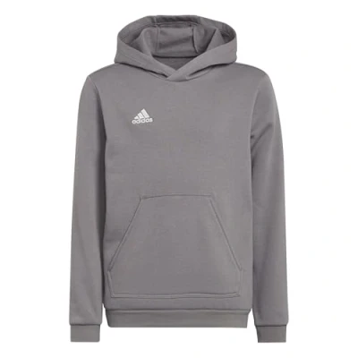 Image of adidas Unisex Kids Entrada 22 Sweat Hoodie, Team Grey Four, 5 6 Years