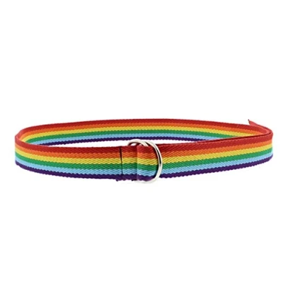 Image of Zac&#039;s Alter Ego Rainbow Stripe Canvas Webbing Belt