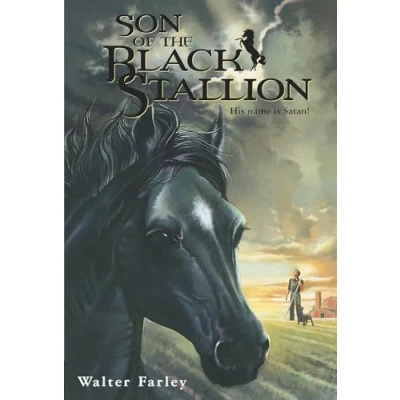 Image of Son of the Black Stallion