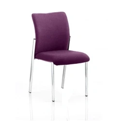 Image of Academy Purple Colour Fabric Back With Seat KCUP0056