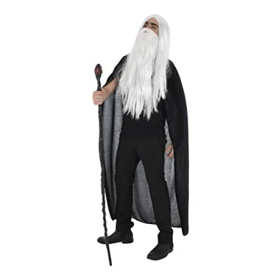 Image of Zac&#039;s Alter Ego Instant Wizard Facial Kit Wig &amp; Beard World Book Day Fancy Dress
