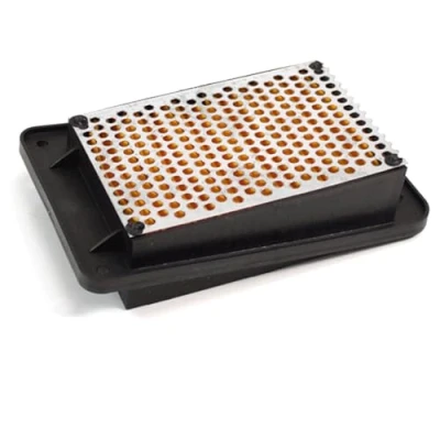 Image of Air Filter Element for LJ125T 8M Lexmoto, Longjia, Romet CMPO