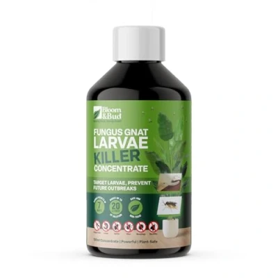 Image of Bloom &amp; Bud Fungus Gnat Larvae Killer Concentrate (100ml) Makes 20 Applications Fast Acting Natural Control for Houseplants Kills Safe, Non Toxic, Biodegradable