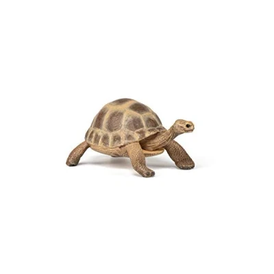 Image of Papo 50264 Hermann&#039;s tortoise WILD ANIMAL KINGDOM Figurine, Multicolour