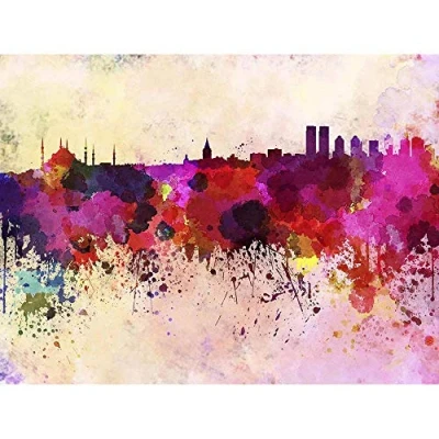 Image of Wee Blue Coo Painting Illustration Cityscape Paint Splash Skyline Istanbul Art Print Poster Wall Decor 12X16 Inch