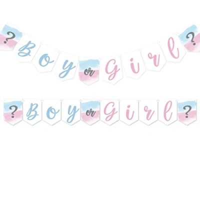 Image of Pink Bee Parties Gender Reveal Flag Banner, Boy or Girl Watercolour Theme