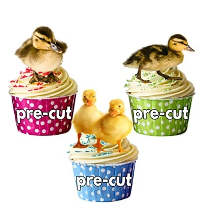 Image of AK Giftshop PRE CUT Cute Ducklings Edible Cupcake Toppers/Cake Decorations (Pack of 12)