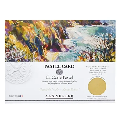 Image of Sennelier La Carte Pastel Card Pochette, 15.75&quot; x 11&quot;, Monochromatic Naples Yellow