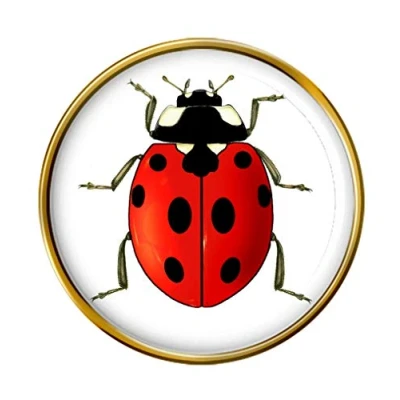 Image of Ladybird Pin Badge