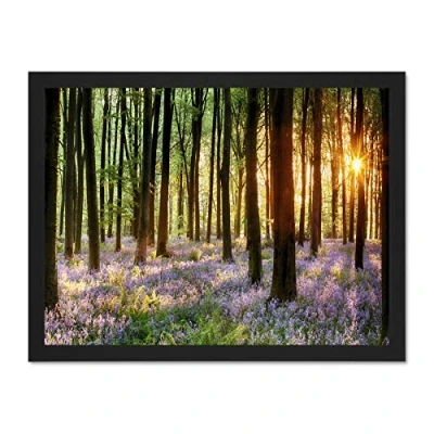 Image of Wee Blue Coo Bluebell Wood Sunrise Trees Photo Art Large Framed Print Poster Wall Decor 18x24 inch