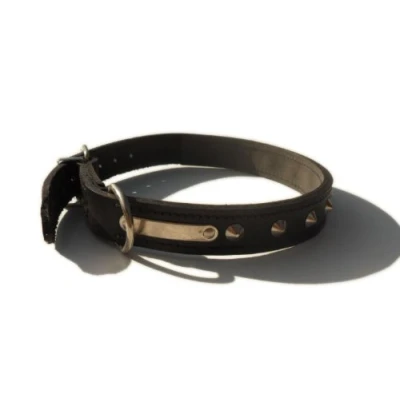 Image of Studded Bridle Leather Dog Collar (Black, 22&quot; x 1&quot;)