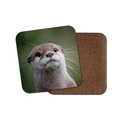 Image of 1 x Cute Otter Coaster Wild Animal Wildlife Nature Cheeky Funny Sea #14988