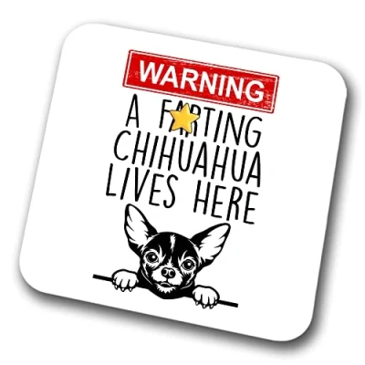 Image of Chihuahua Warning A Lives Here Mum Dad Coaster Dog Friend Funny Gift for Birthday Christmas,