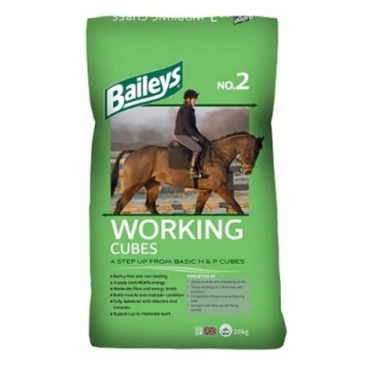 Image of Baileys No 2 Working Cubes 20Kg
