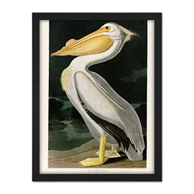 Image of Artery8 Audubon Birds White Pelican Painting Artwork Framed Wall Art Print 18X24 Inch