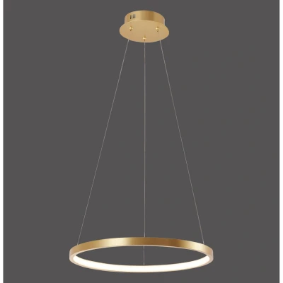 Image of JUST LIGHT. Circle LED pendant light, gold, Ø 39 cm