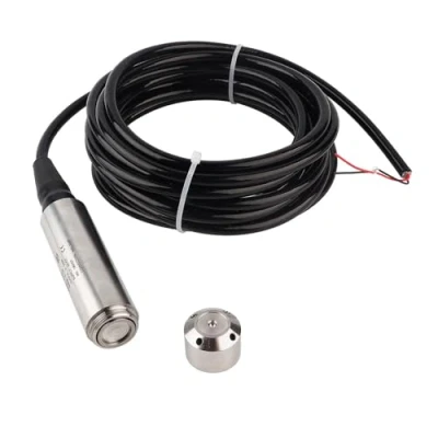 Image of Liquid Level Sensor YB‑2J‑F Transmitter Input Type Water Detector with Stainless Steel Probe (0 5m Measuring Range)