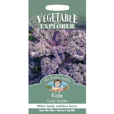 Image of Mr Fothergill&#039;s 10438 Vegetable Seeds, Kale Scarlet