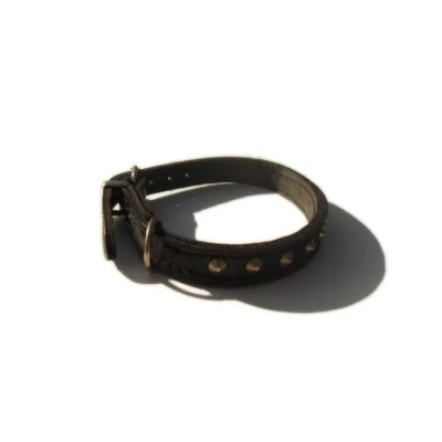 Image of Studded Bridle Leather Dog Collar (Black, 12&quot; x 3/8&quot;)