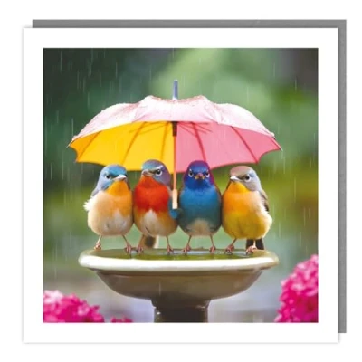 Image of Birthday/Blank Greeting Card for Him/Her Male/Female Exotic Birds and Umbrella General Suitable Birthday Other Occasions Made in the UK Eco Friendly