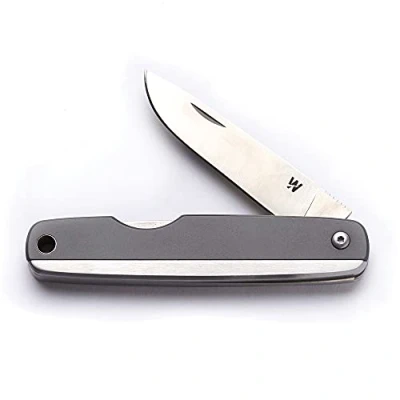 Image of Whitby Pocket Knife, Stainless Steel Folding Knives Titanium Finish, Stylish High Performance, Non Locking EDC 2.25 Blade, Portable for Camping Hiking Backpacking