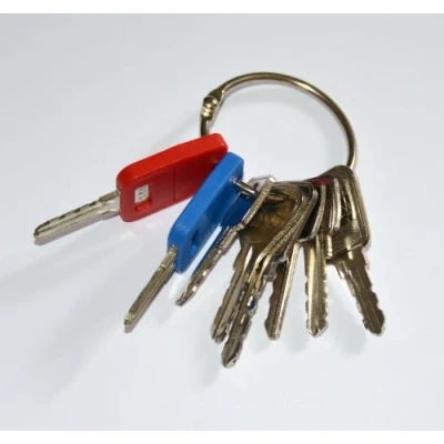 Image of LF Lowe and Fletcher Master Keys