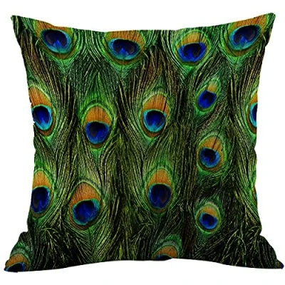Image of CANSEGO Peacock Feather Pillowcases Bird Animal Fur Exotic Tail Throw Pillow Cushion Covers Cotton Linen for Men Women Boys Girls Living Room 18x18 Inch