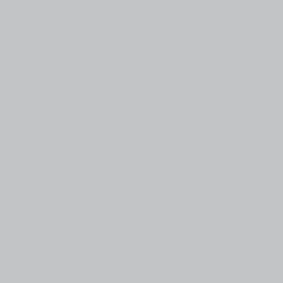 Image of plottiX Perm. Vinyl Film 31.5 cm x 1 m Light Grey