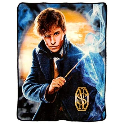 Image of NORTHWEST Warner Brothers Fantastic Beasts, Smoke Micro Raschel Throw Blanket, 46&quot; x 60&quot;, Multi Color