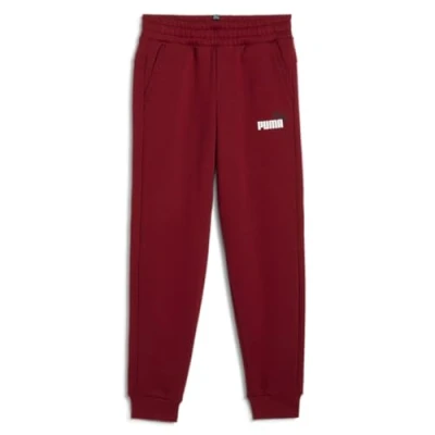 Image of PUMA ESS+ 2 Col Logo Pants FL cl B