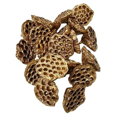 Image of Floralcraft 20Pcs Dried Lotus Heads, Large Size (8 10cm) Gold, Flowers for Craft Projects, Christmas Wreath, Garland, Florist Decoration