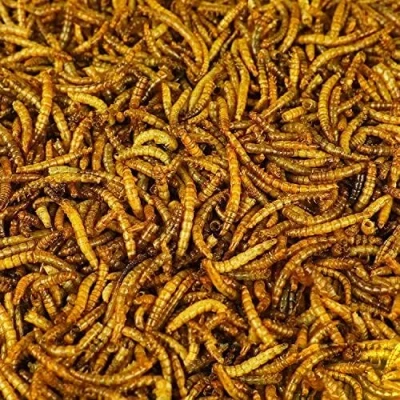 Image of BusyBeaks Dried Mealworms Premium Garden Wild Bird Food Mix Balanced Formula Protein Rich, Great Source of Energy Contains Beneficial Mixed Vitamins Large Variety (1kg)