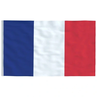 Image of vidaXL France Flag 90x150 cm