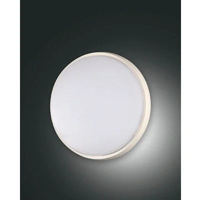 Image of Olly LED Outdoor Surface Mounted Downlight White Glass, IP54