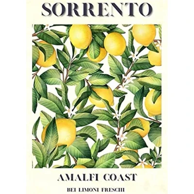 Image of Viewkedt Decor Fruit Market Sorrento Lemons Sign for Coffee Spring 6x8 in Tin Home Art Metal Signs Wall Poster
