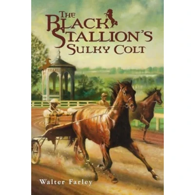 Image of The Black Stallion&#039;s Sulky Colt