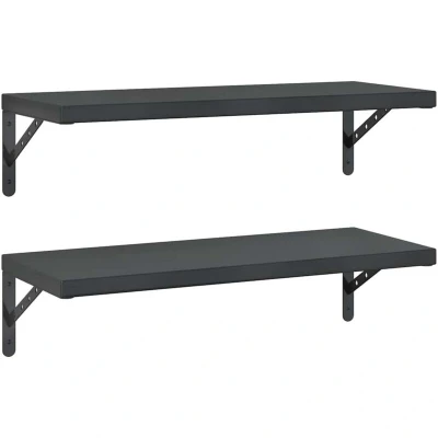Image of vidaXL Wall Shelves 2 pcs 75x30 cm Black Stainless Steel