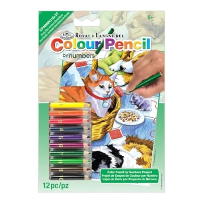 Image of Royal and Langnickel Mini Colour Pencil by Number Kit 5 inch x 7 Family Pets