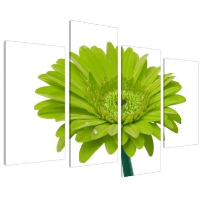 Image of Large Lime Green Gerbera Daisy Canvas Wall Art Pictures Prints XL 4098