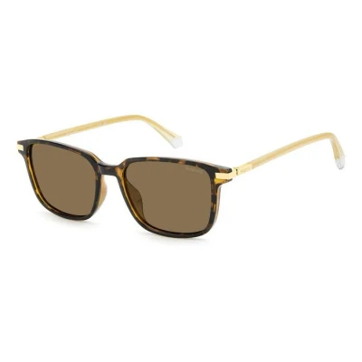 Image of Sunglasses Polaroid Pld 4169/g/s/x col. 086/sp Uomo Squadrata Havana