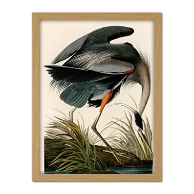 Image of Artery8 Audubon Birds Great Blue Heron Painting Artwork Framed Wall Art Print 18X24 Inch